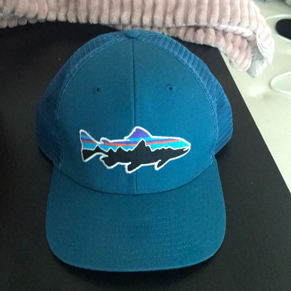 MENS Patagonia snap back